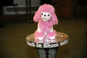 Best in Show at Various Voices, Singing Festival