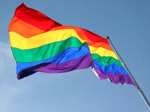 <b class=qtipBold><figcaption>Rainbow Flag</figcaption></b><br><em>© Paul Brown</em> Rainbow Flag