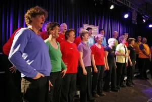 Rozenkoor at Various Voices, Singing Festival